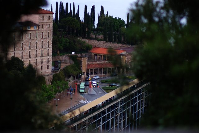 Montserrat monastery buildings among cypress trees, seen through foliage on a wet day